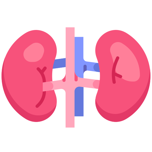 Kidney Diseases